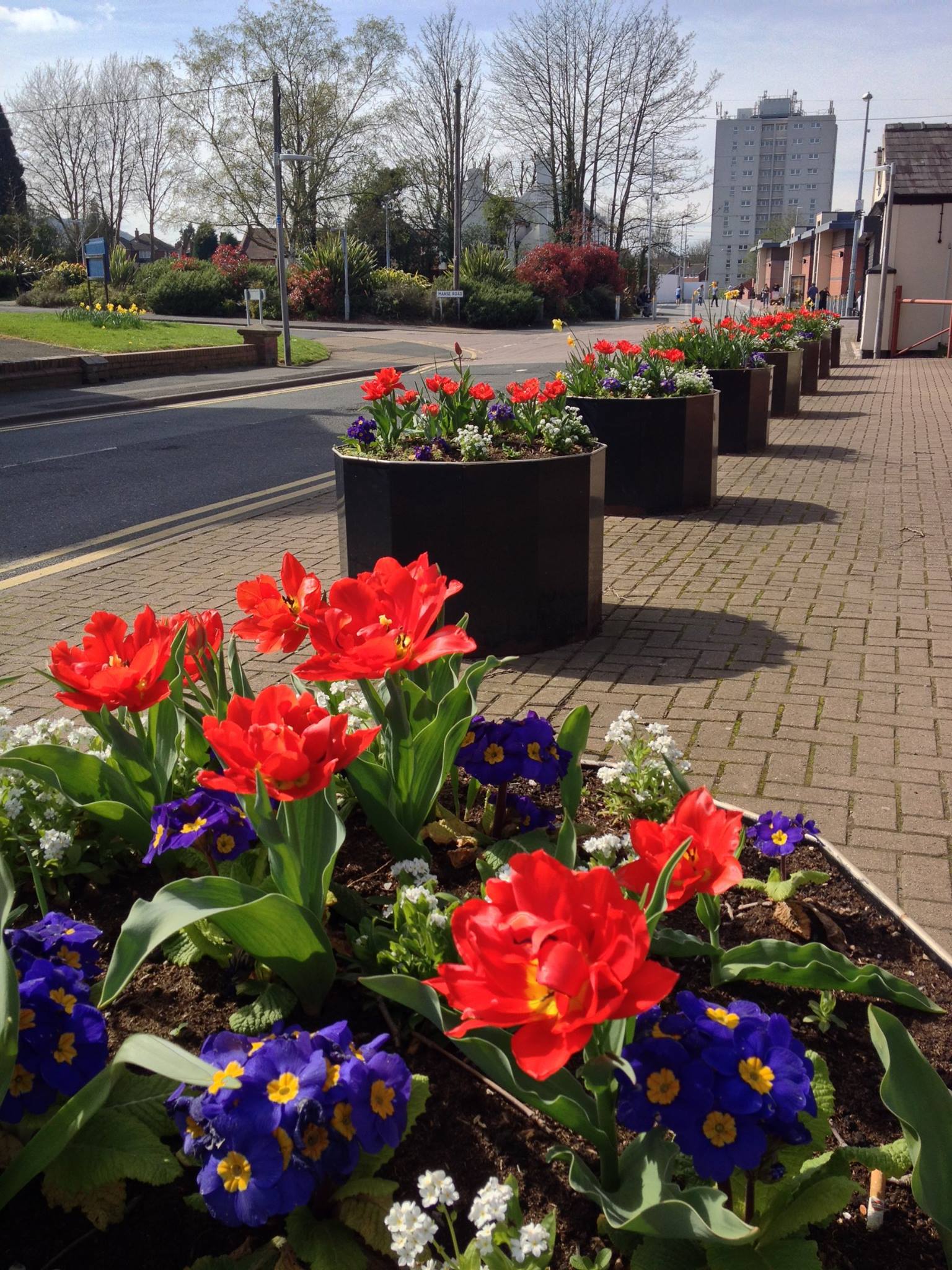 planters